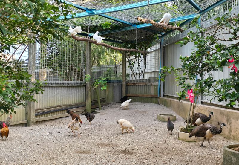 Jeram 2 Storey Villa Fully Furnished for Sale   