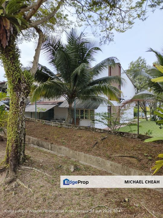 Bangsar Limau Purut For Sale , Kuala Lumpur, Bangsar