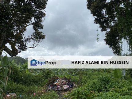 Agriculture Land 10.7 Acres, Parit Selangor Baru, Pontian, Johor, Pontian