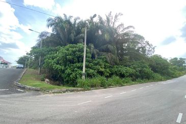 MAIN ROAD LAND 7.7 Ekar Tanah di Segamat