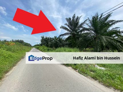 5 acres Agriculture Land in Tanjung Bin, Sungai Dinar (Mukim Serkat), Johor, Pontian
