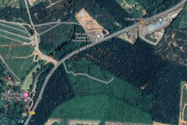 AGRICULTURAL LAND 12.7 ACRES, DURIAN TUNGGAL, MELAKA