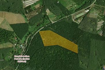 AGRICULTURAL LAND 12.7 ACRES, DURIAN TUNGGAL, MELAKA
