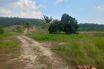 AGRICULTURAL LAND 12.7 ACRES, DURIAN TUNGGAL, MELAKA