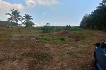 AGRICULTURAL LAND 12.7 ACRES, DURIAN TUNGGAL, MELAKA