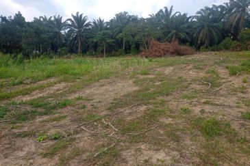 AGRICULTURAL LAND 12.7 ACRES, DURIAN TUNGGAL, MELAKA