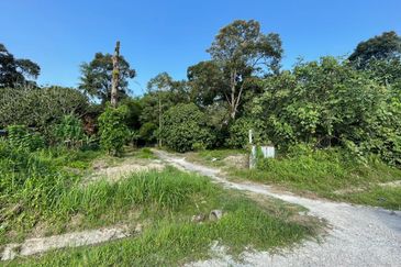 MAIN ROAD 3.55 Ekar Tanah Pertanian di Kg Pekajang, Gelang Patah (Mukim Tanjung Kupang)