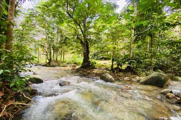 Chalet di Sungai Sendat, Ulu Yam, Batang Kali