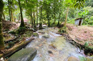 Chalet di Sungai Sendat, Ulu Yam, Batang Kali
