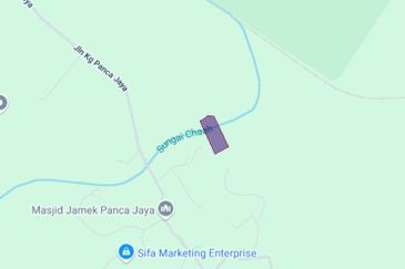 Oil Palm Land @ Labis