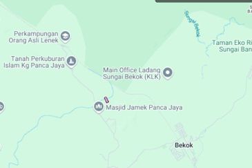 Oil Palm Land @ Labis