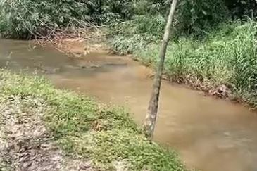 Oil Palm Land @ Labis