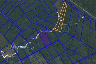 Oil Palm Land @ Labis