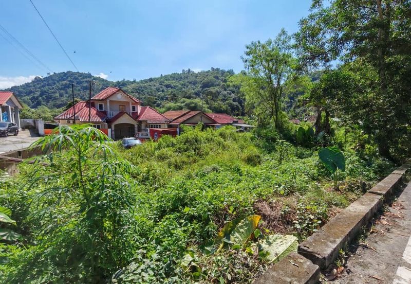 Jalan Felcra Semungkis Batu 14