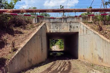 Jalan Besar Utara Selatan