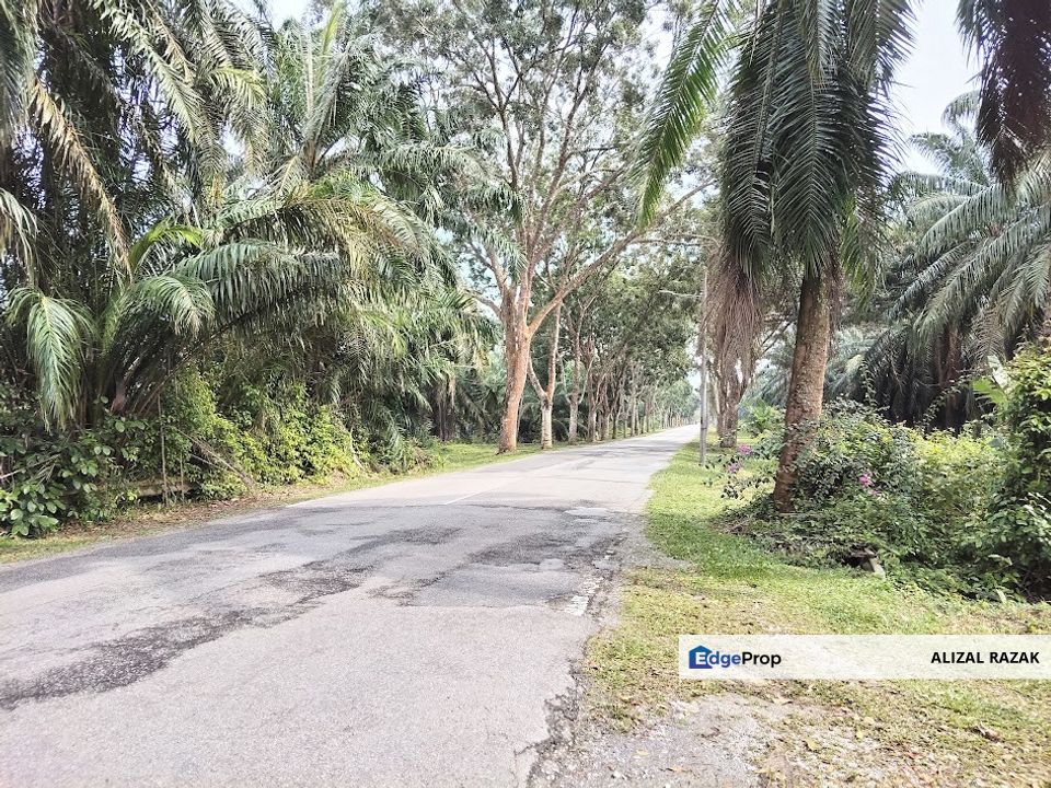 Tanah Zoning Perumahan untuk dijual @ Bukit Changgang Banting [100m dari jalan raya, dekat KLIA], Selangor, Kuala Langat