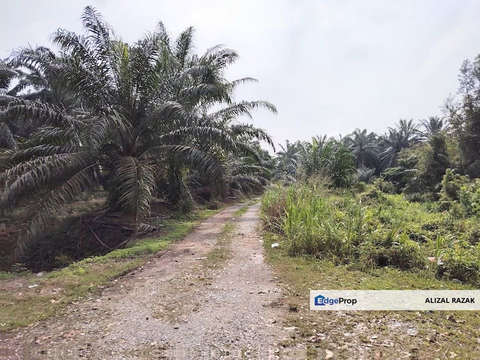 Tanah Zoning Perumahan untuk dijual @ Bukit Changgang Banting [100m dari jalan raya, dekat KLIA], Selangor, Kuala Langat