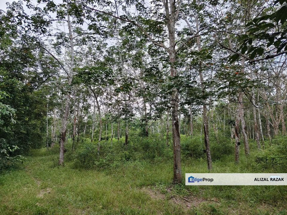 Tanah Kebun Getah 3.6 ekar untuk dijual @ Gemencheh Tampin Negeri Sembilan [5 minit dari jalan besar], Negeri Sembilan, Tampin