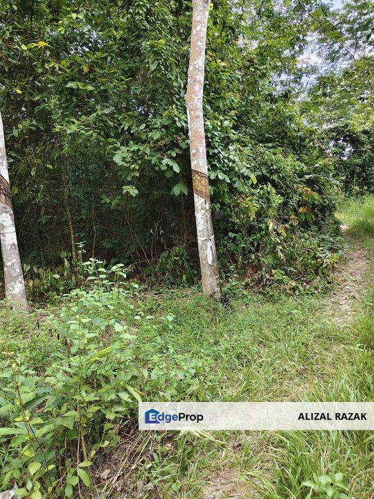 Tanah Kebun Getah 3.6 ekar untuk dijual @ Gemencheh Tampin Negeri Sembilan [5 minit dari jalan besar], Negeri Sembilan, Tampin