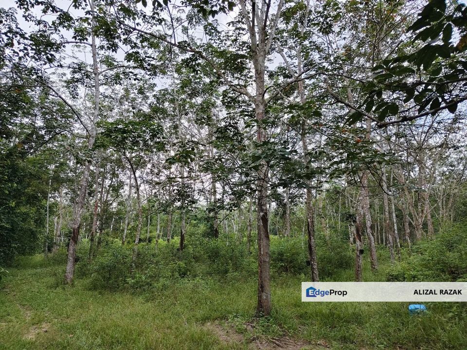 Tanah Kebun Getah 3.6 ekar untuk dijual @ Gemencheh Tampin Negeri Sembilan [5 minit dari jalan besar], Negeri Sembilan, Tampin