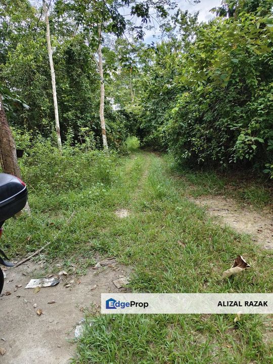 Tanah Kebun Getah 3.6 ekar untuk dijual @ Gemencheh Tampin Negeri Sembilan [5 minit dari jalan besar], Negeri Sembilan, Tampin