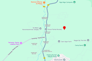 Jalan Temiang-Pantai