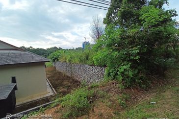 Desa Pinggiran Putra