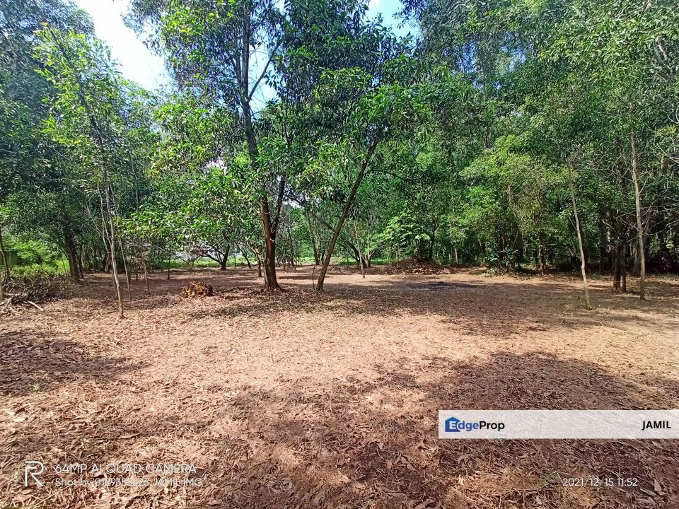 EXCLUSIVE USJ FREEHOLD BANGLO LOT SELLING BELOW MART VALUE (FREE FLOODED AREA), Selangor, USJ