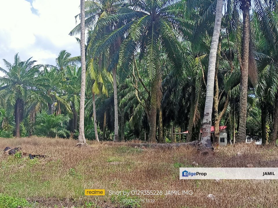 3.43 ACRES FREEHOLD AGRI LAND RESIDENTIAL ZONING PANTAI REMIS MANJUNG, Perak, Manjung