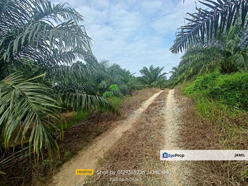5.71 ACRES FREEHOLD MALAY RESERVED AGRI LAND KG MENDERANG SUNGKAI, Perak, Sungkai