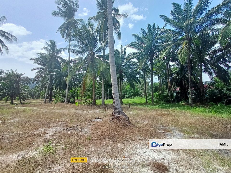 3.43 ACRES FREEHOLD AGRI LAND RESIDENTIAL ZONING PANTAI REMIS MANJUNG, Perak, Manjung