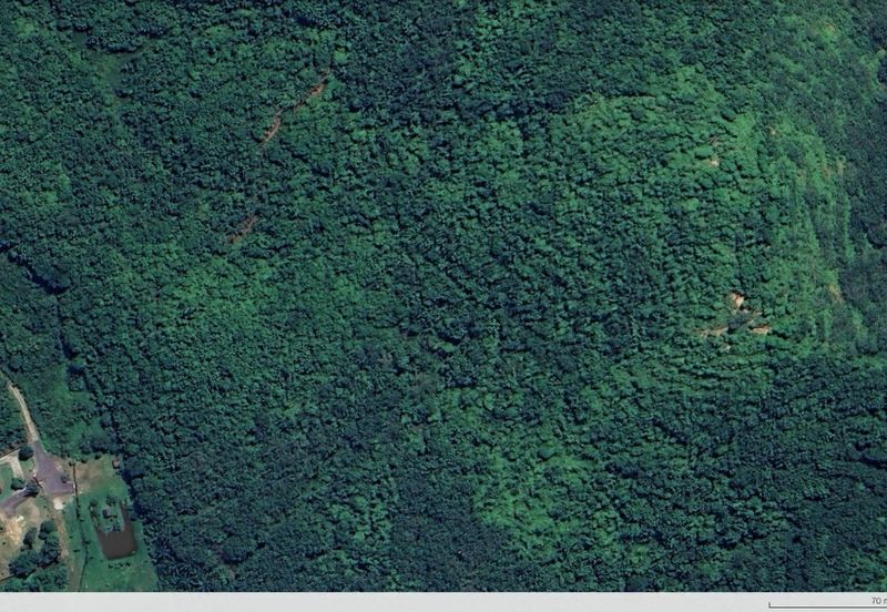 3.140 AC FREEHOLD AGRI LAND FELCRA DURIAN DAUN PILIN REMBAU