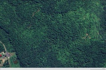 3.140 AC FREEHOLD AGRI LAND FELCRA DURIAN DAUN PILIN REMBAU