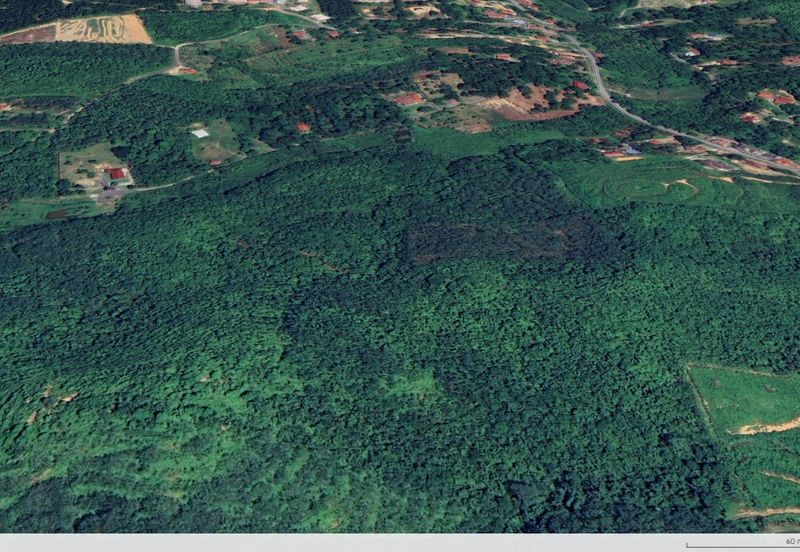 3.140 AC FREEHOLD AGRI LAND FELCRA DURIAN DAUN PILIN REMBAU