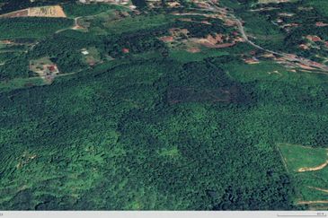 3.140 AC FREEHOLD AGRI LAND FELCRA DURIAN DAUN PILIN REMBAU