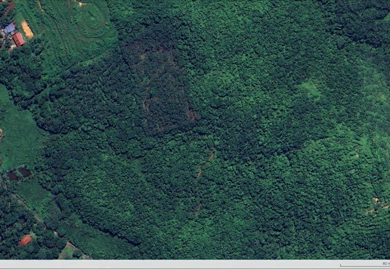 3.140 AC FREEHOLD AGRI LAND FELCRA DURIAN DAUN PILIN REMBAU