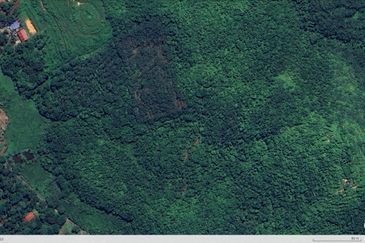 3.140 AC FREEHOLD AGRI LAND FELCRA DURIAN DAUN PILIN REMBAU