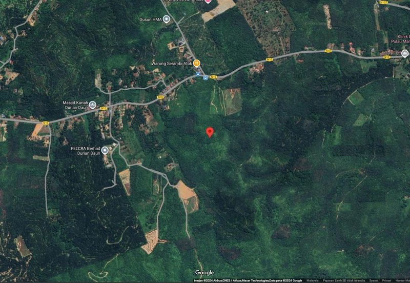 3.140 AC FREEHOLD AGRI LAND FELCRA DURIAN DAUN PILIN REMBAU