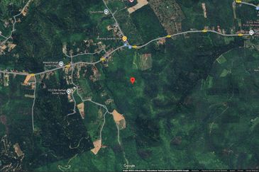 3.140 AC FREEHOLD AGRI LAND FELCRA DURIAN DAUN PILIN REMBAU