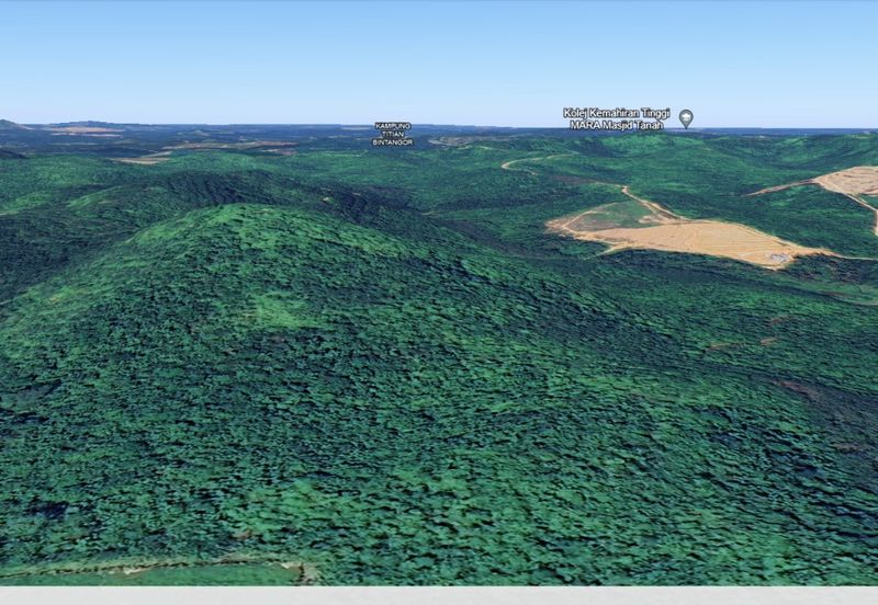 3.140 AC FREEHOLD AGRI LAND FELCRA DURIAN DAUN PILIN REMBAU