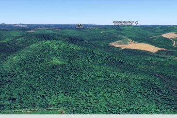 3.140 AC FREEHOLD AGRI LAND FELCRA DURIAN DAUN PILIN REMBAU