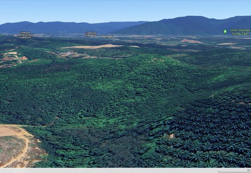 3.140 AC FREEHOLD AGRI LAND FELCRA DURIAN DAUN PILIN REMBAU