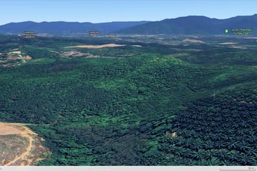 3.140 AC FREEHOLD AGRI LAND FELCRA DURIAN DAUN PILIN REMBAU