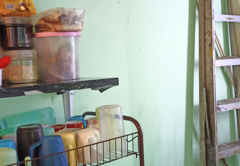 Dahlia Apartment, Putra Perdana