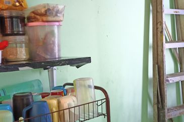 Dahlia Apartment, Putra Perdana