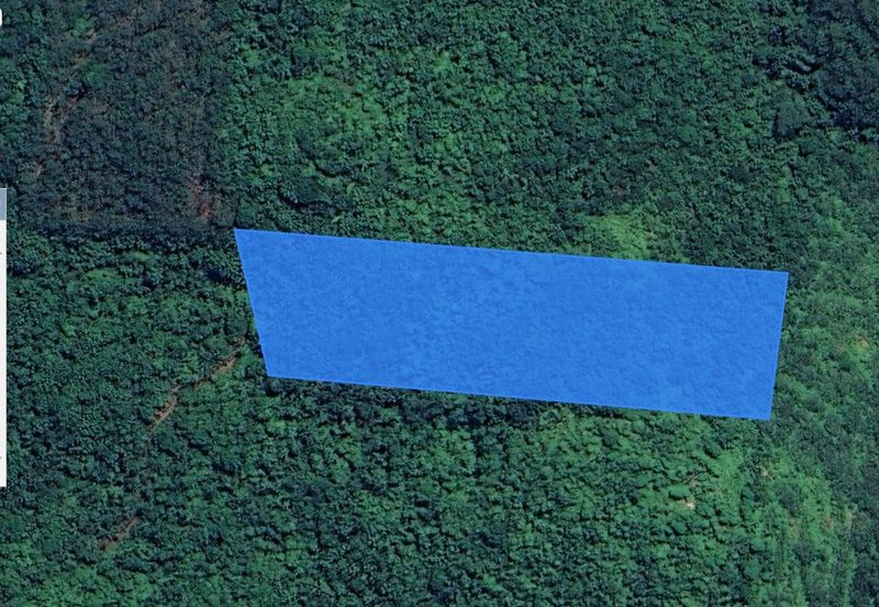 3.140 AC FREEHOLD AGRI LAND FELCRA DURIAN DAUN PILIN REMBAU