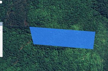 3.140 AC FREEHOLD AGRI LAND FELCRA DURIAN DAUN PILIN REMBAU