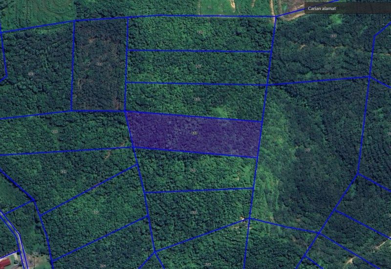 3.140 AC FREEHOLD AGRI LAND FELCRA DURIAN DAUN PILIN REMBAU
