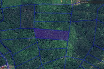3.140 AC FREEHOLD AGRI LAND FELCRA DURIAN DAUN PILIN REMBAU