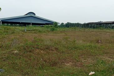 Kampung Sri Cheeding